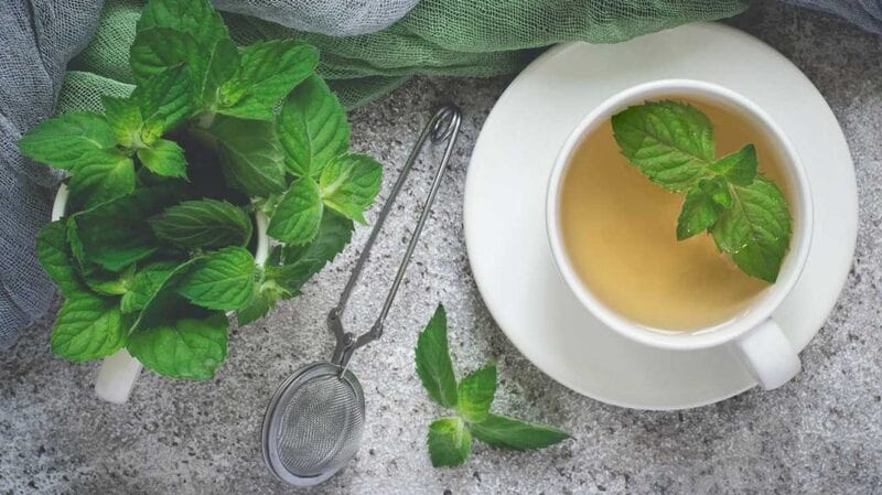 bầu uống trà sữa được không bầu uống trà sữa được không